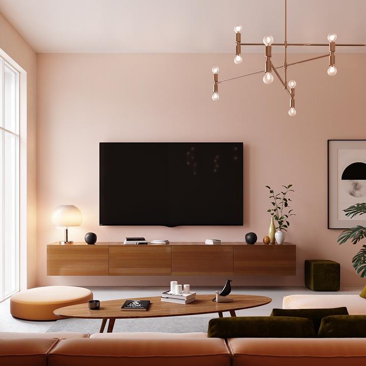 Actual product image Devialet Phantom II 98 dB (Electrical connection)