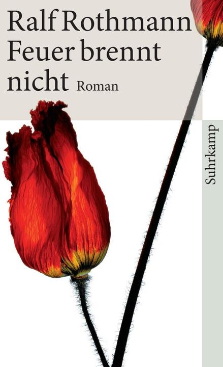 Immagine prodotto Feuer brennt nicht (Tedesco, Ralf Rothmann, 2010)