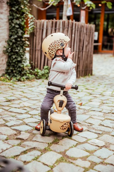 Actual product image Scoot and Ride Highwaykick