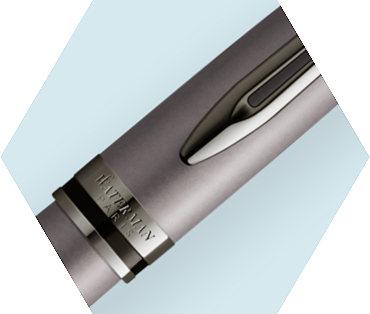 Immagine prodotto Waterman Penna stilografica Expert Metallic SE M (Argento, 1 x)