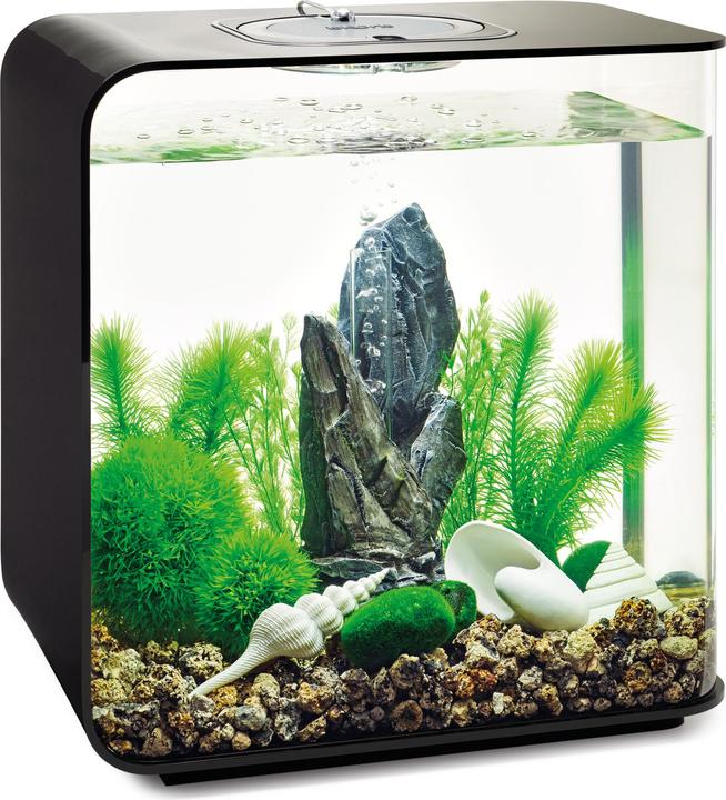 Immagine prodotto Oase Set di decorazioni per l'acquario biOrb 30 (Decorazione, altre voci)
