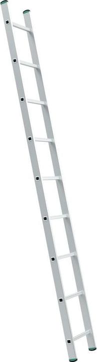 Actual product image Puag Single ladder 7 rungs (Single ladder, 199 cm)
