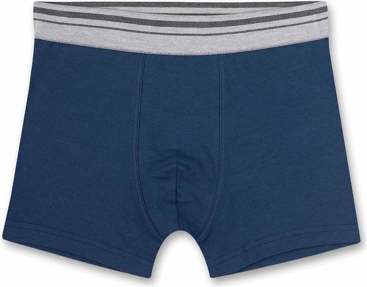 Actual product image Sanetta Boxer shorts Casual Comfortable fit (176, pack of 2)