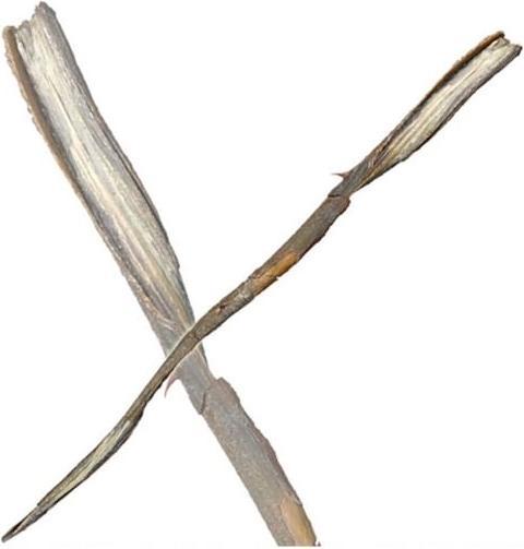 Image du produit Noble Collection Harry Potter Baguette magique Grindelwald (édition personnage)