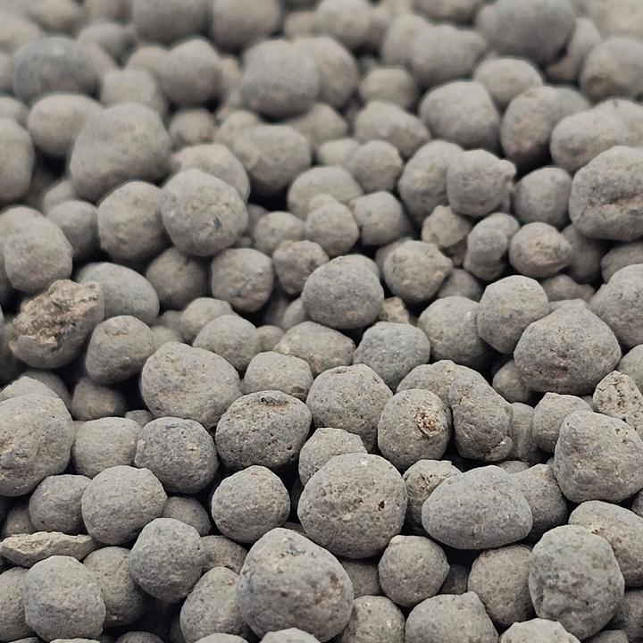 Produktbild Guano Kalong GuanoKalong Sweet Bat 500g (0.50 kg)