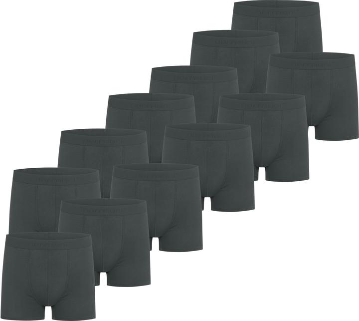 Normani 12 Herren Bambus-Boxershorts