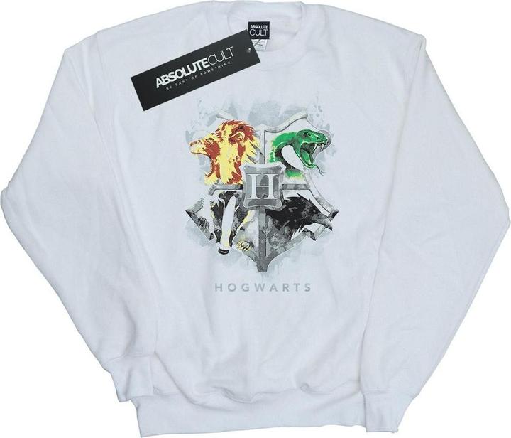Produktbild Hogwarts Painted Crest Sweatshirt Jungen (140, 146)