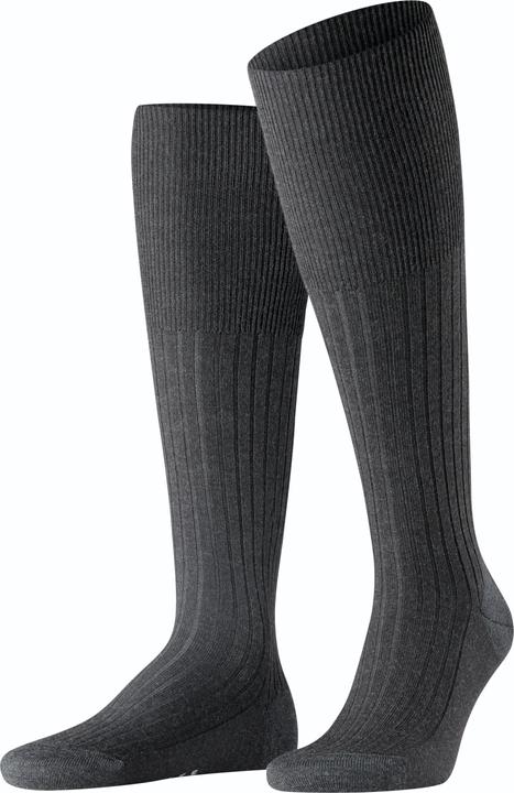 Falke Bristol Pure KH