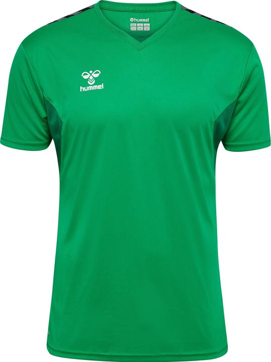Image du produit hummel Hmlauthentic Pl Jersey S/S (M)