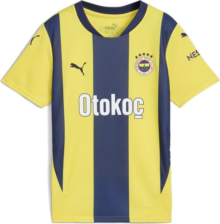 Puma FSK Home Jersey Replica Jr (176)