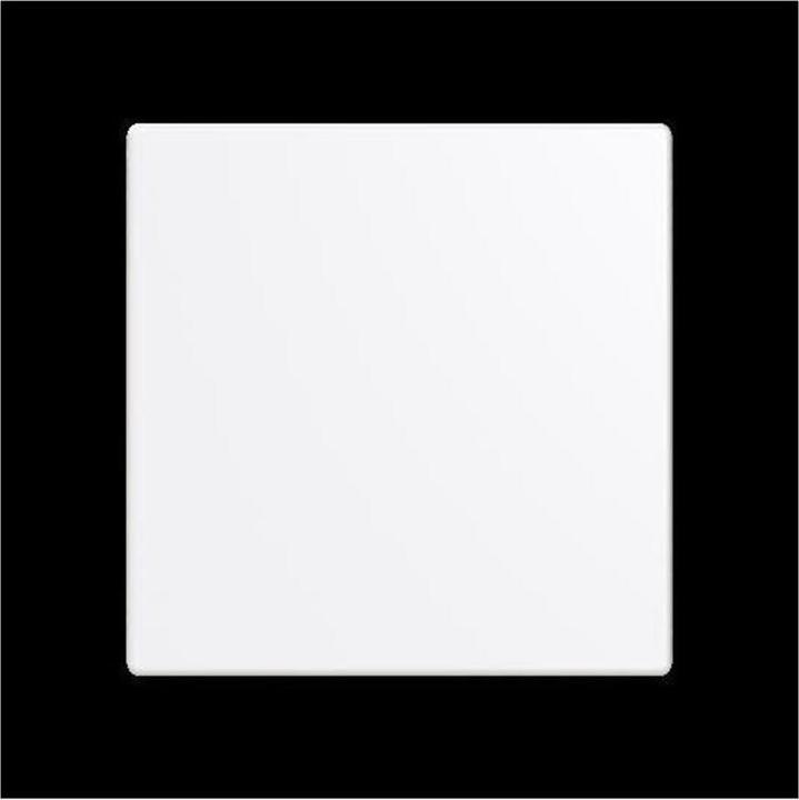 Actual product image Busch-Jaeger BUSC LED dimmer