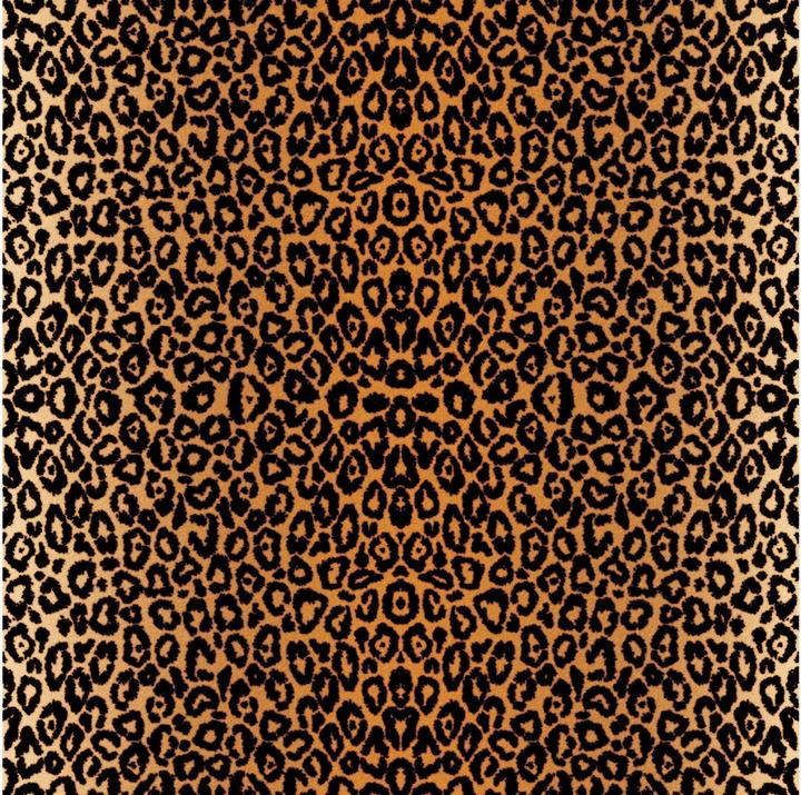 Immagine prodotto Cricut Inchiostro infusibile Iron-on Film Leopard (30,5 x 30,5 cm)