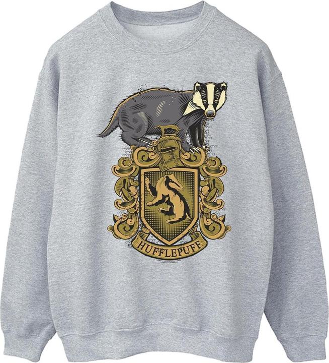 Image du produit - Sweat HUFFLEPUFF SKETCH CREST - Homme (XL)