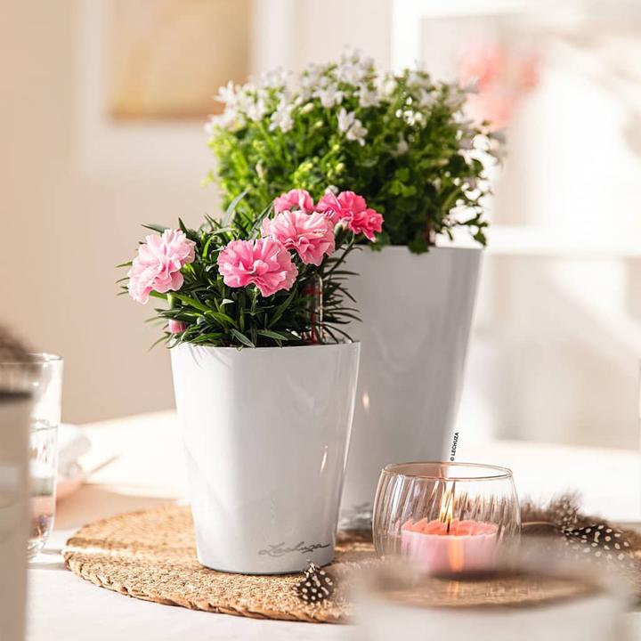Produktbild Lechuza Mini Deltini (10 cm)