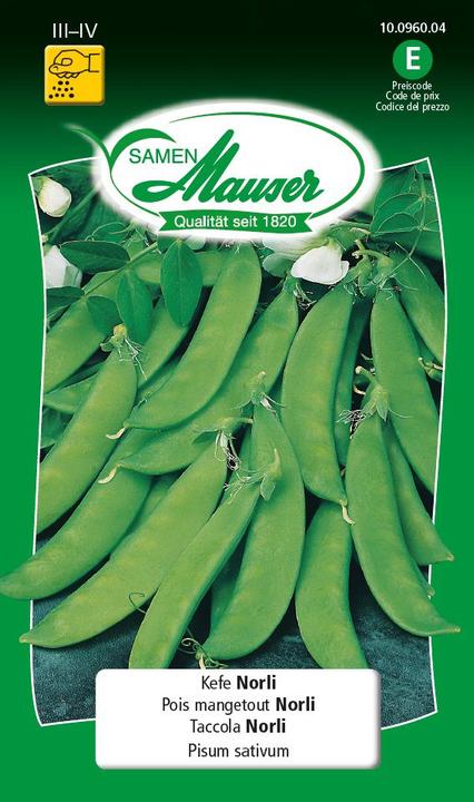 Produktbild Samen Mauser Kefen Norli (Gemüsesamen)