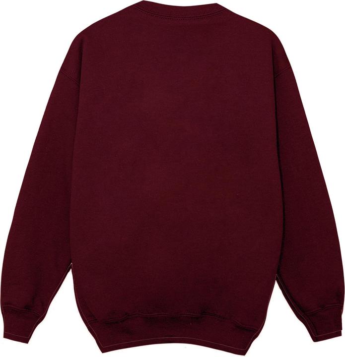 Image du produit Disney - Sweat FROZEN CHRISTMAS TREE - Garçon (140, 146)