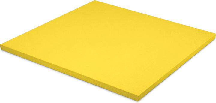 Actual product image Sport-Thieme Judo mat (40 mm)