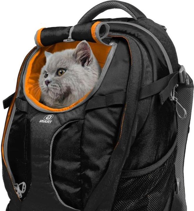 Actual product image Kurgo G-Train K19 (Dog, Breathable)