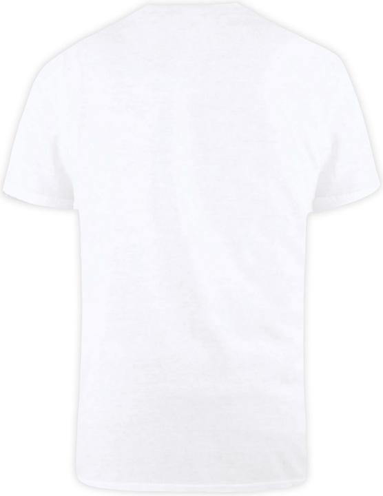 Actual product image DUKE UTDC166 P (L)