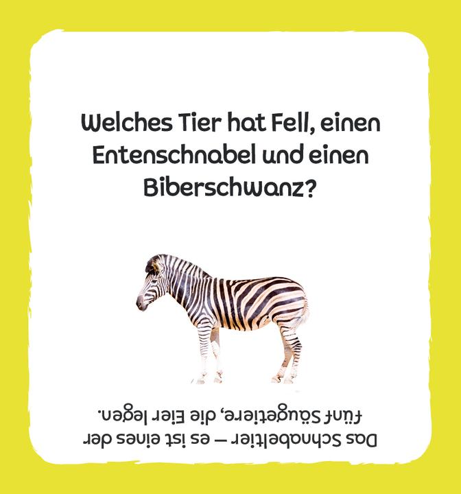 Produktbild Kartenbox: Das grosse Quiz – Tiere (Deutsch)
