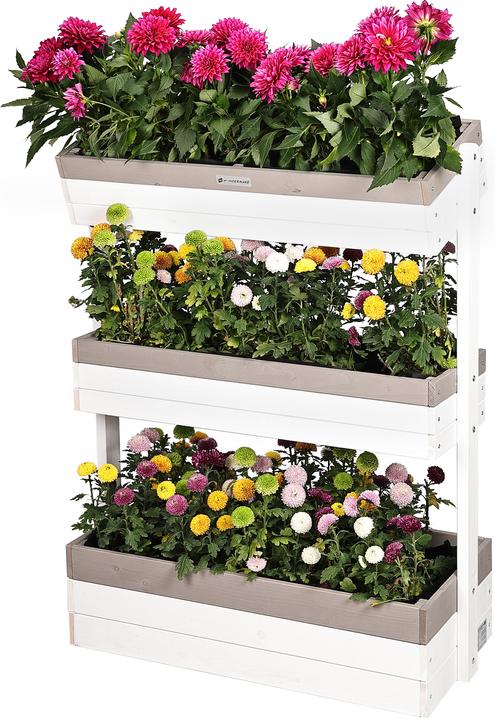 Produktbild Wondermake Design-Vertikalbeet "planverto1" mit 3 Pflanzkästen, Fichte (weiss-grau)