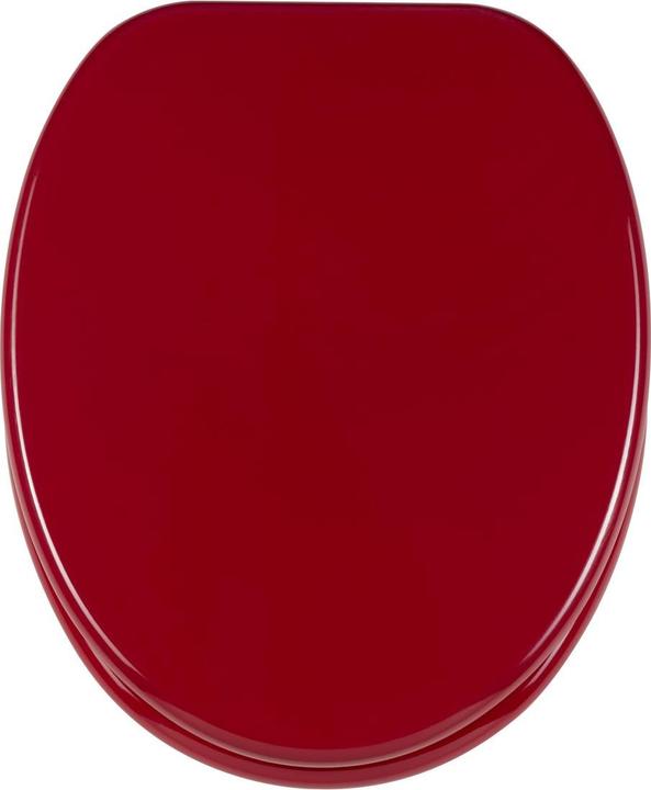 Rot RAL 3003