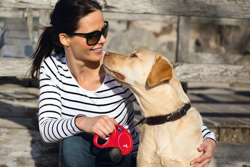 Image du produit Flexi New Classic (M, Chien, Promenade)