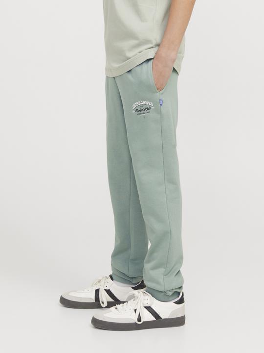 Actual product image Jack & Jones Jogging trousers Jogging trousers (152)