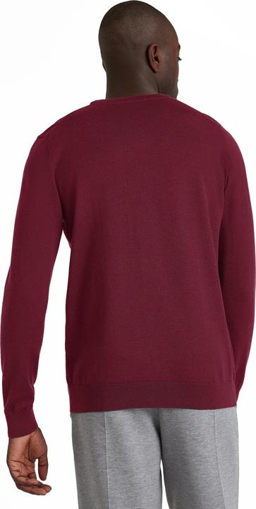 Image du produit Falke BA V-Neck m (3XL)