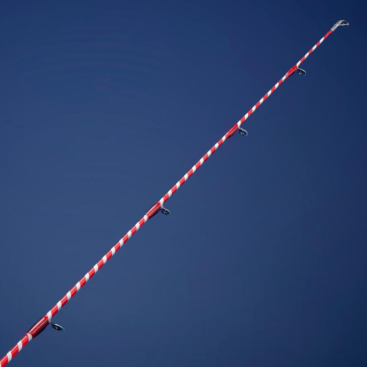Actual product image Caperlan Sea Light Hybrid (Allround rod, 240 cm)