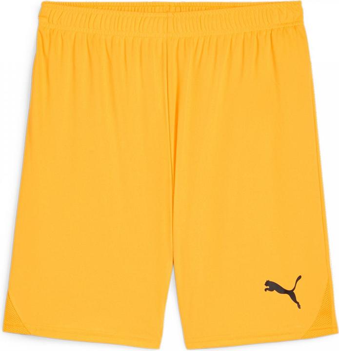 Actual product image Puma teamGOAL shorts (XL)