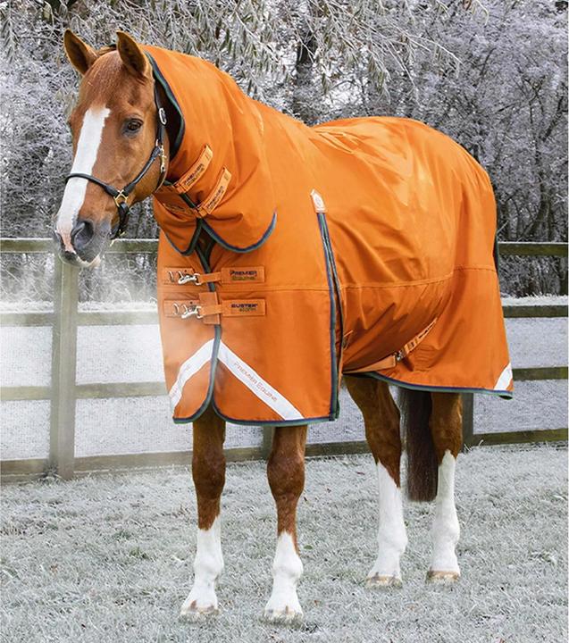 Produktbild Premier Equine Buster Combo 400g (213 cm)