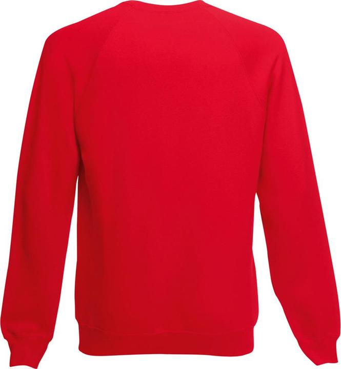 Image du produit Fruit of the Loom Pull-overs (104)