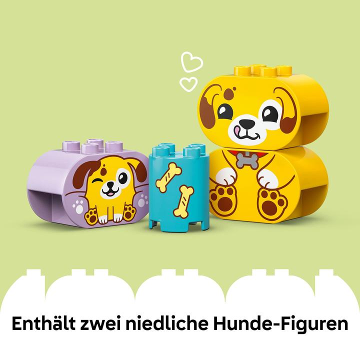 Image du produit LEGO Formsortierer: Welpenhaus (10441)