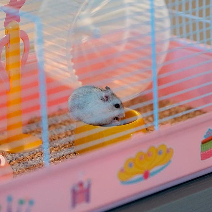 Actual product image Ferplast Hamster 9 Princess - Cage