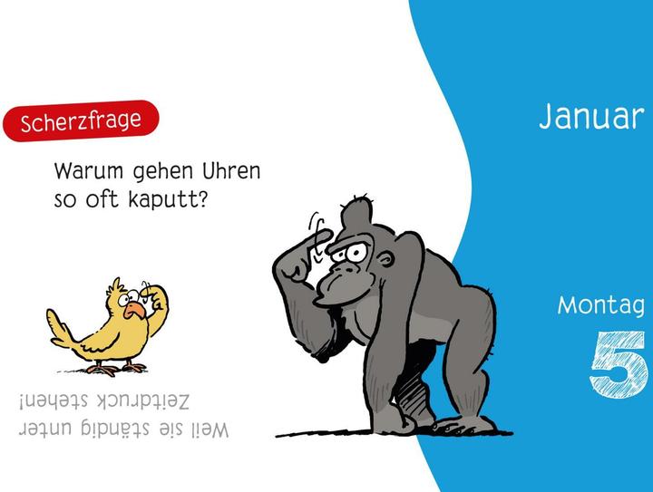 Actual product image Kinder-Witze zum Ablachen! 2026: Mein K (Hardcover, German)