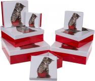 Immagine prodotto Ootb Confezione regalo rossa / bianca, gatto (Carta da regalo, 8 x)