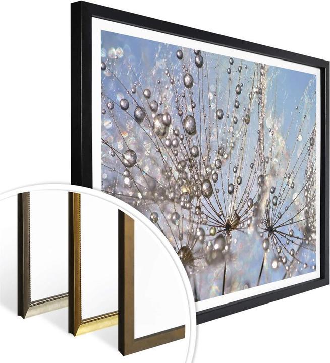 Image du produit Trenddeko Goutte d'eau dans le pissenlit (50 x 40 cm)