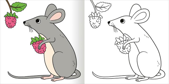 Actual product image My colourful autumn colouring book