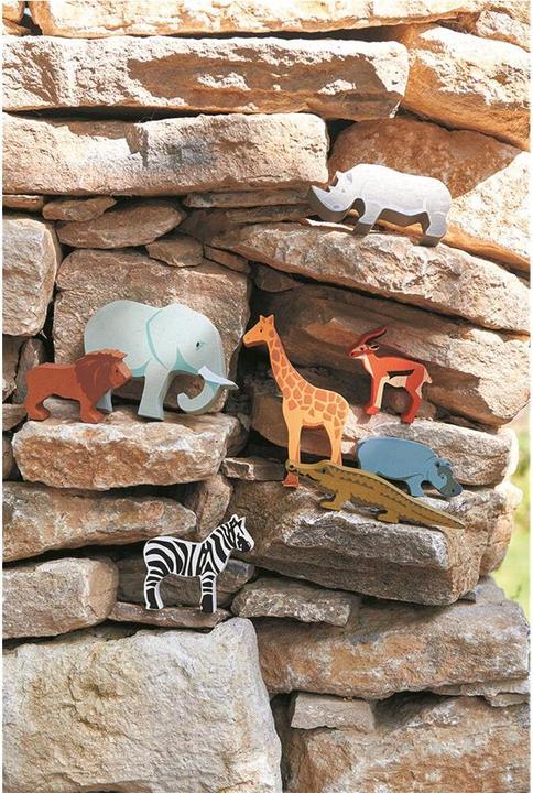 Image du produit Tender Leaf Toys Affichage Safari