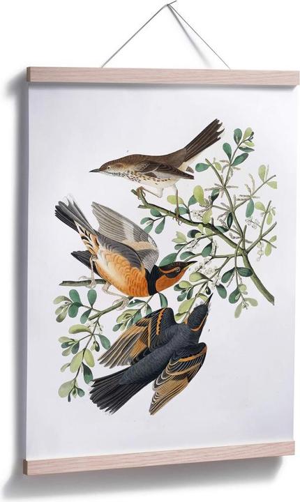 Produktbild Trenddeko Drei Drosseln (30 x 40 cm)