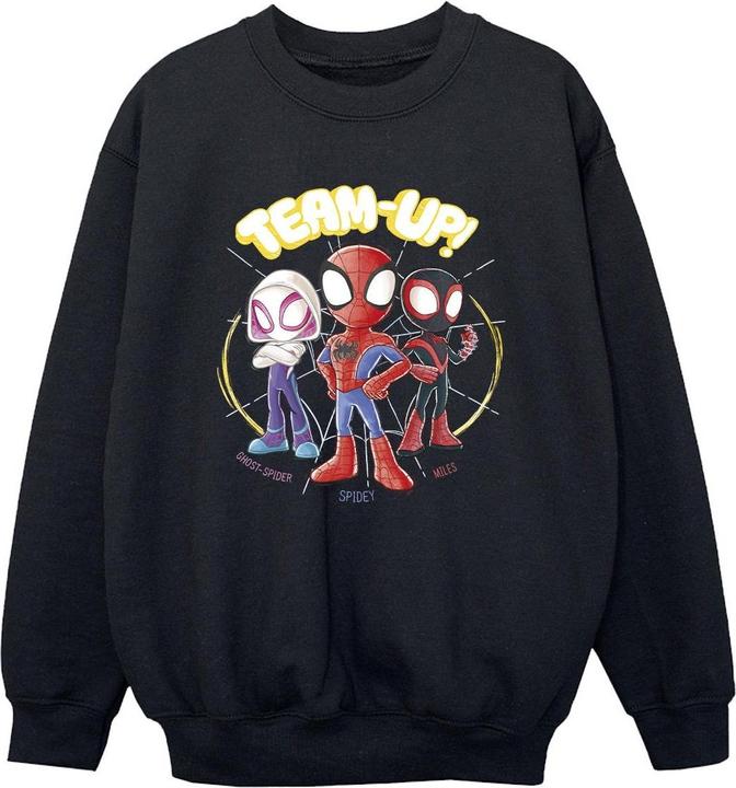 Spidey And His Amazing Friends Sketch Sweatshirt Jungen
