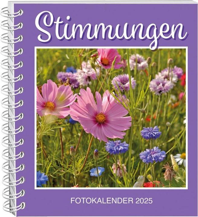 Actual product image Stimmungen Fotokalender 2025 (17 x 20 cm, German)
