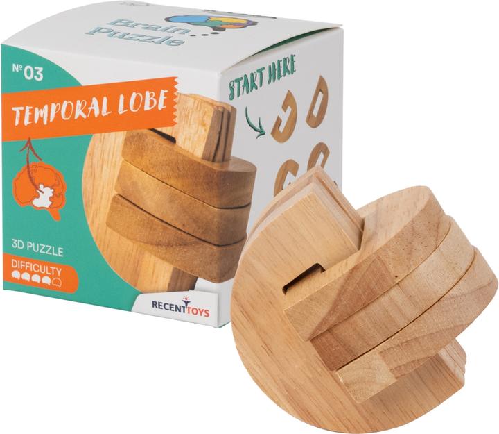 Immagine prodotto Recent Toys Puzzle del cervello n. 3 Lobo temporale