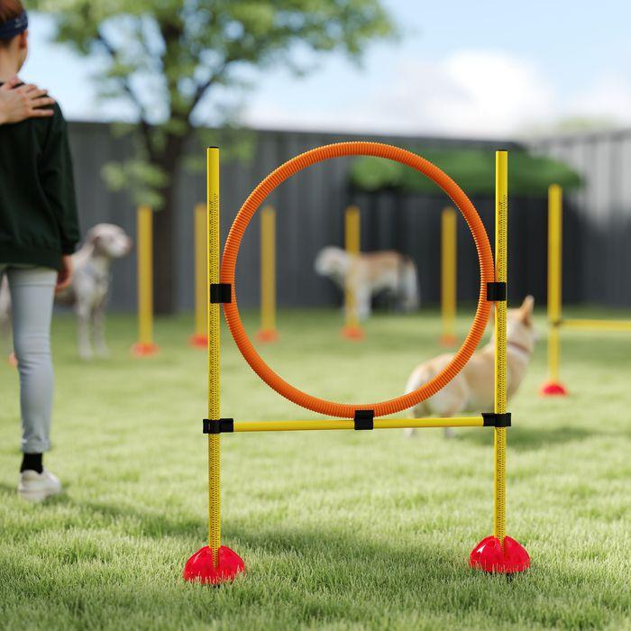 Produktbild Swisshandel24 Agility Set Hunde 3-teiliges befüllbar Agility-Ausrüstung für Hundetraining (Agility)