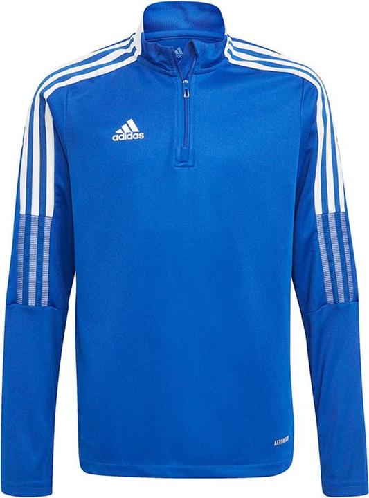 Royblu
