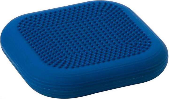 Produktbild Togu Ballkissen Dynair Cardo