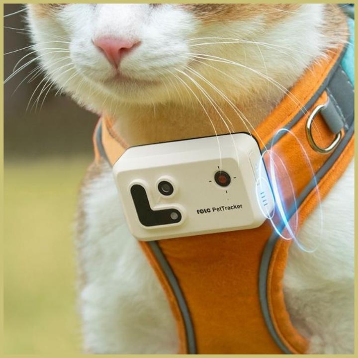 Produktbild Enabot Rola PetTracker – Hunde-Tracker mit eingebauter Kamera – Gelb