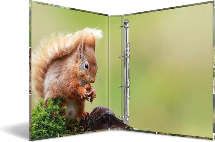 Actual product image Herma A4 ring binder motif (A4, 35 mm, 1 Piece)