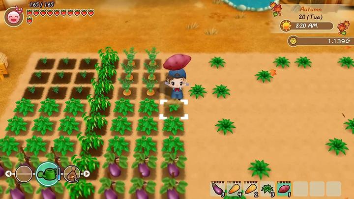 Actual product image Marvelous Story of Seasons: Friends Of Mineral Town (PS4, EN)